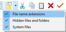 File Name Extensions
